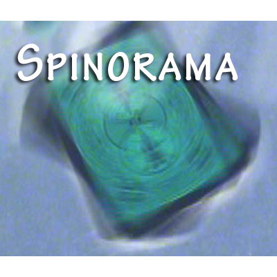Spinorama by William Lee