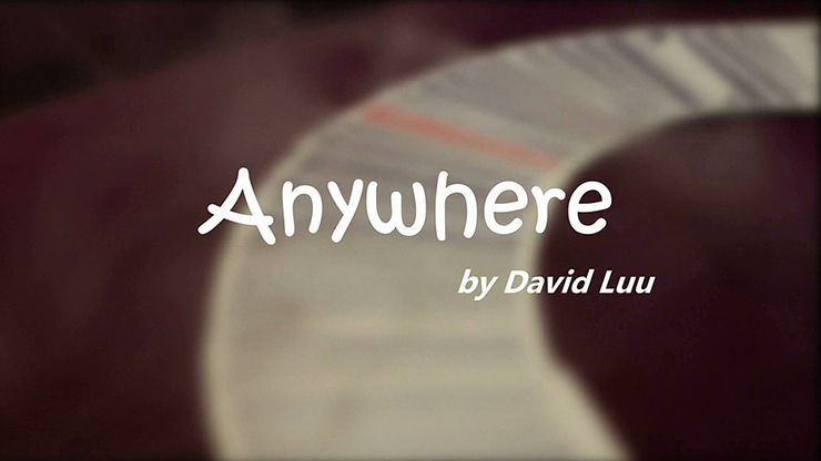 Anywhere by David Luu