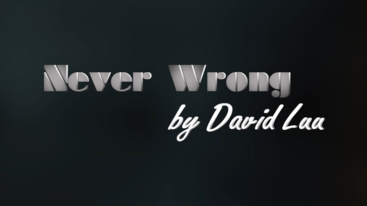 Never Wrong by David Luu