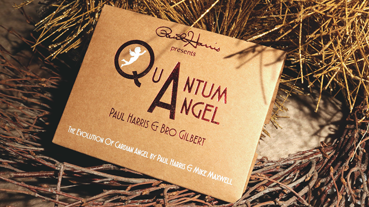 Quantum Angel by Paul Harris & Gro Gilbert