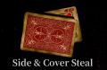 Side & Cover StealɡС by ƣ