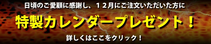 Τܤ˴դ12ץ쥼ȡ