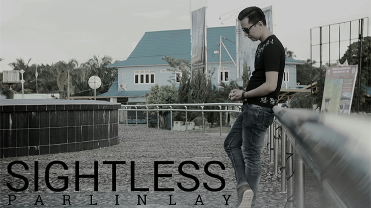 SIGHTLESS by Parlin Lay