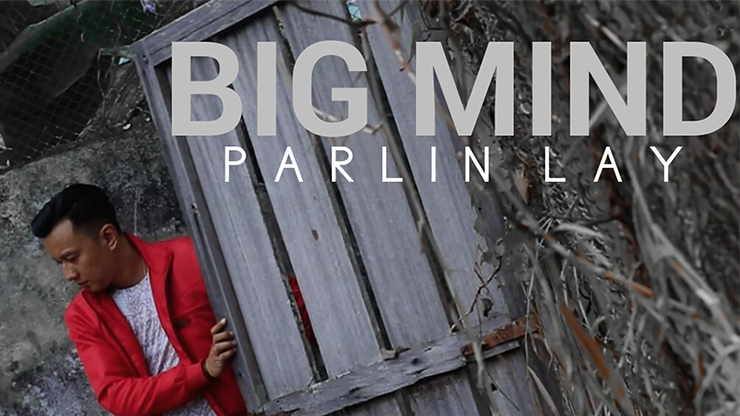 Big Mind by Parlin Lay