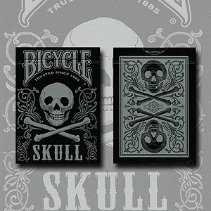 Bicycle Skull (Silver) by USPCC & Gambler\'s Warehouse