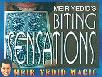 Biting Sensations by Meir Yedid