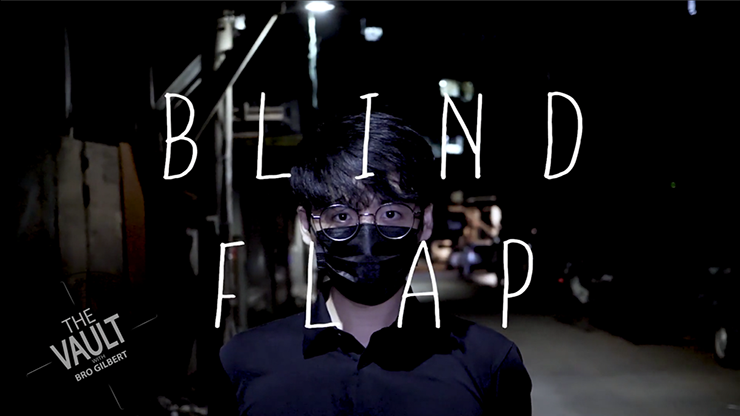 The Vault - Blind Flap Project by PH and Mario Tarasini