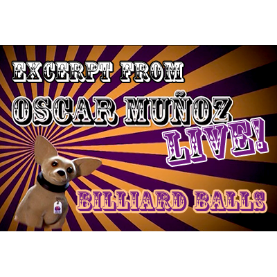 Billiard Balls by Oscar Munoz (Excerpt from Oscar Munoz Live)