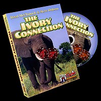 The Ivory Connection by Reed McClintock and Steve Dobson