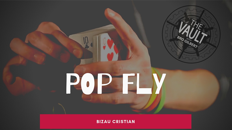 The Vault - Pop Fly by Bizau Cristian