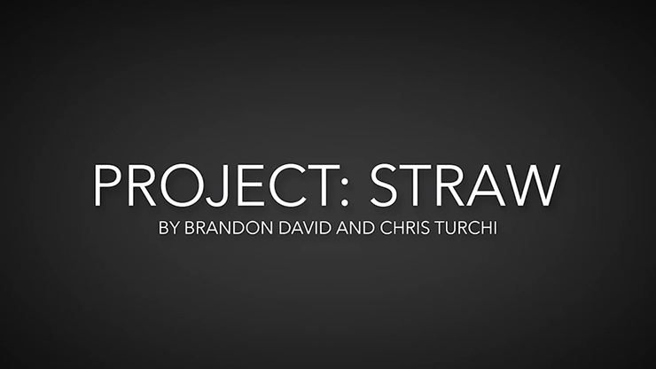 Project Straw by Brandon David & Chris Turchi