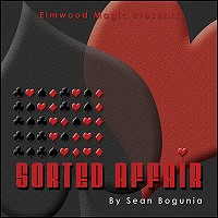 Sorted Affair by Sean Bogunia