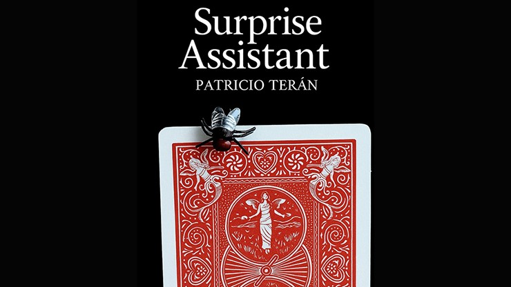 Surprise Assistant by Patricio Teran