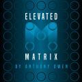 Elevated Matrix by Anthony Owen