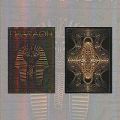 Pharaoh Limited Foil Edition Deck By Collectable Playing Cards