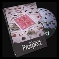 Prospect by SansMinds