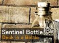 Sentinel Bottle / Theory11